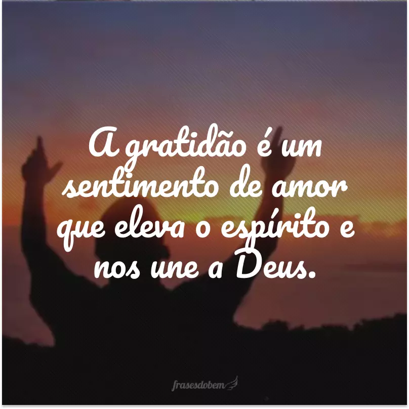 A gratidão é um sentimento de amor que eleva o espírito e nos une a Deus.