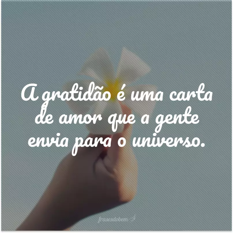 A gratidão é uma carta de amor que a gente envia para o universo.