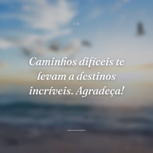 Caminhos difíceis te levam a destinos incríveis. Agradeça!