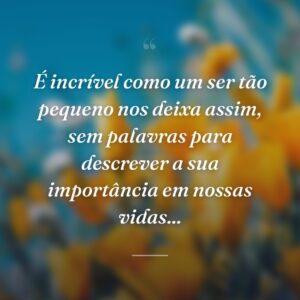 É incrível como um ser tão pequeno nos deixa assim, sem palavras para descrever a sua importância em nossas vidas...