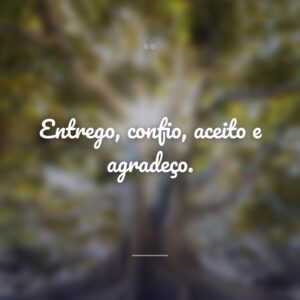 Entrego, confio, aceito e agradeço.