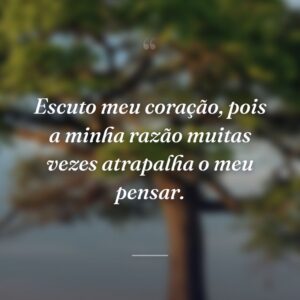 Escuto meu coração, pois a minha razão muitas vezes atrapalha o meu pensar.