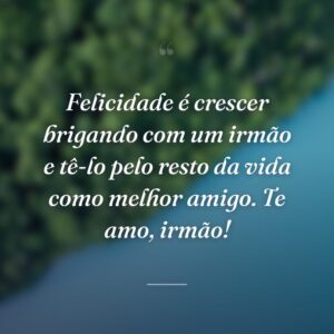 Felicidade é crescer brigando com um irmão e tê-lo pelo resto da vida como melhor amigo. Te amo, irmão!