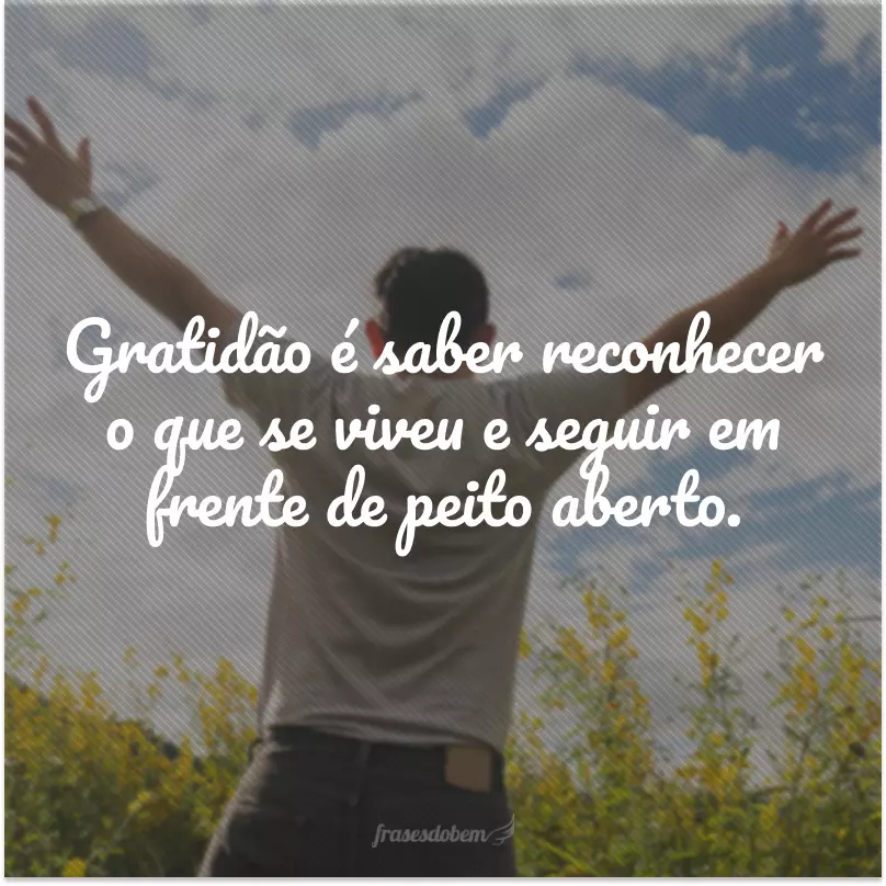 Gratidão é saber reconhecer o que se viveu e seguir em frente de peito aberto.