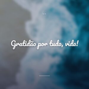 Gratidão por tudo, vida!