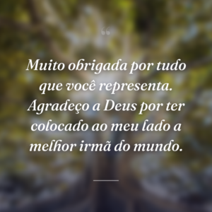 Muito obrigada por tudo que você representa. Agradeço a Deus por ter colocado ao meu lado a melhor irmã do mundo.