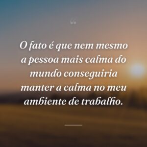 O fato é que nem mesmo a pessoa mais calma do mundo conseguiria manter a calma no meu ambiente de trabalho.