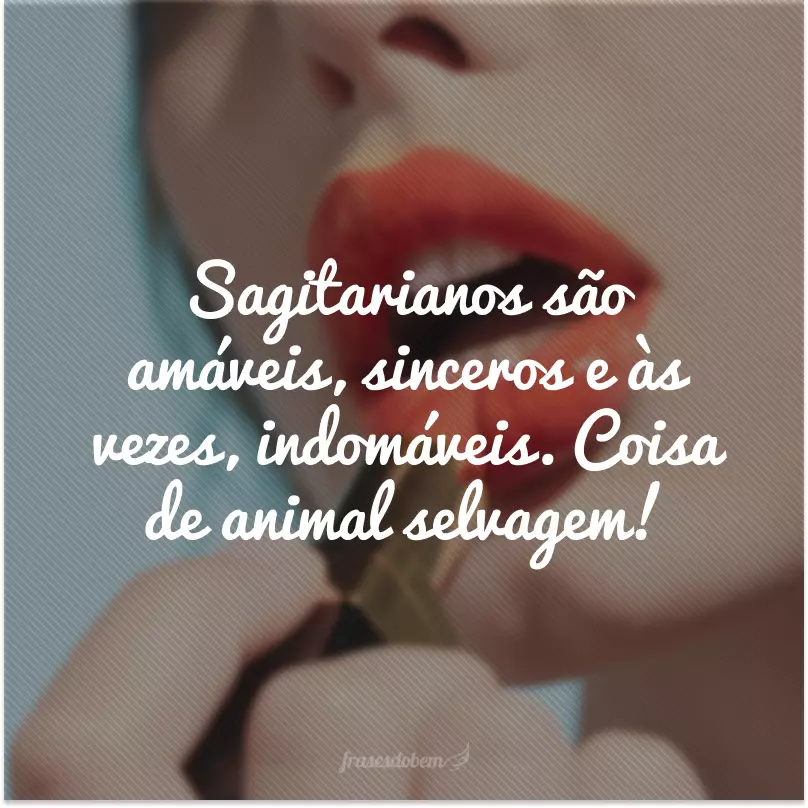 Sagitarianos são amáveis, sinceros e às vezes, indomáveis. Coisa de animal selvagem!