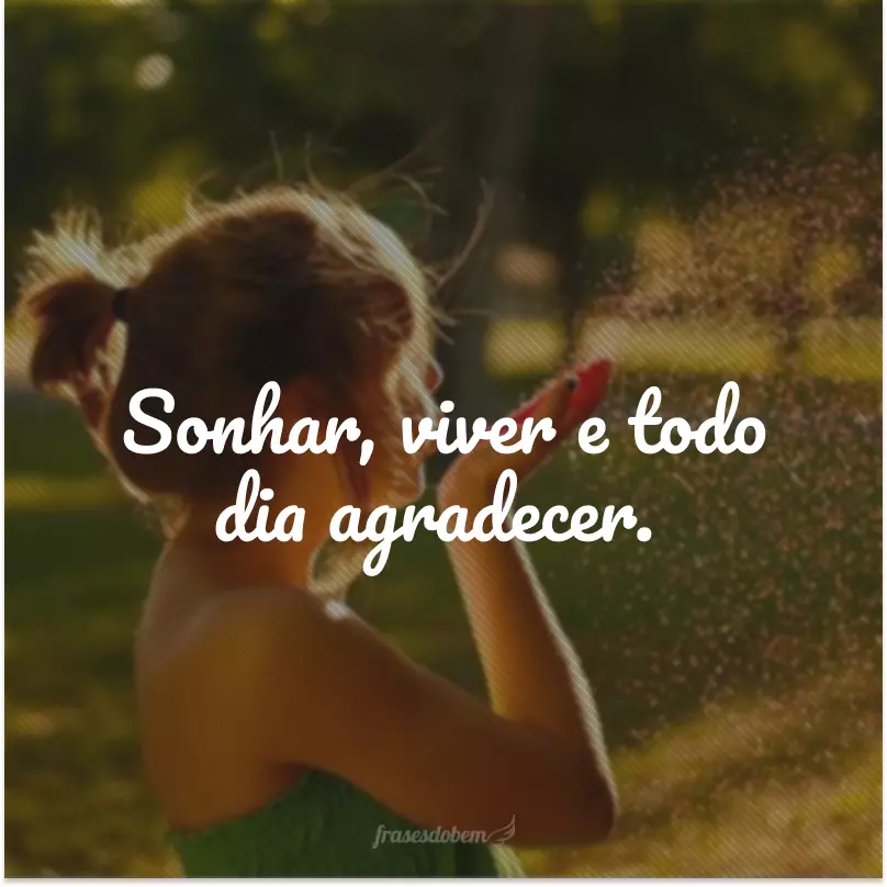 Sonhar, viver e todo dia agradecer.