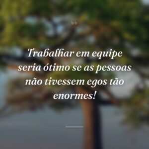 Trabalhar em equipe seria ótimo se as pessoas não tivessem egos tão enormes!