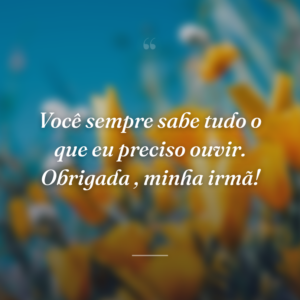Você sempre sabe tudo o que eu preciso ouvir. Obrigada , minha irmã!