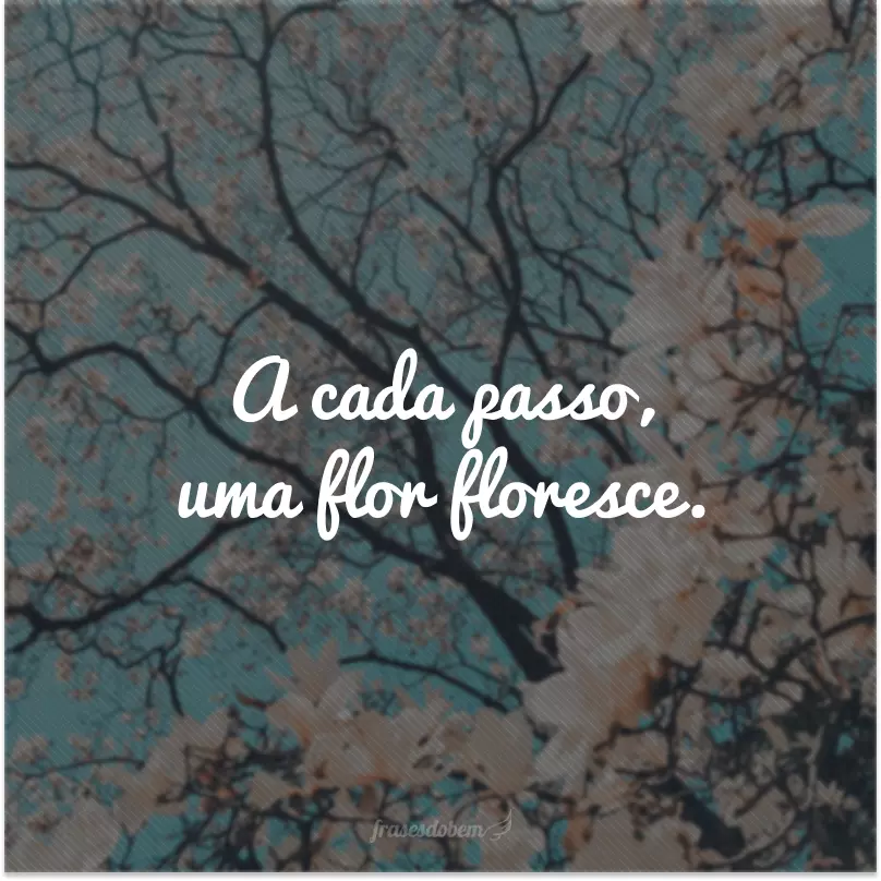 A cada passo, uma flor floresce. 