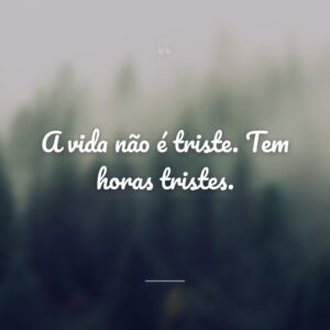 A vida não é triste. Tem horas tristes.