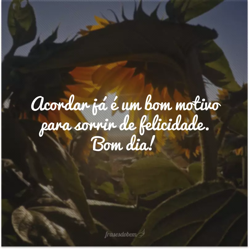 Acordar já é um bom motivo para sorrir de felicidade. Bom dia!