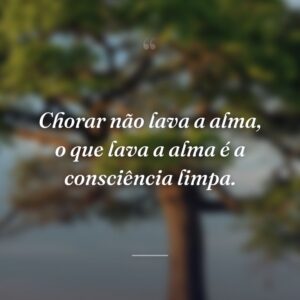 Chorar não lava a alma, o que lava a alma é a consciência limpa.