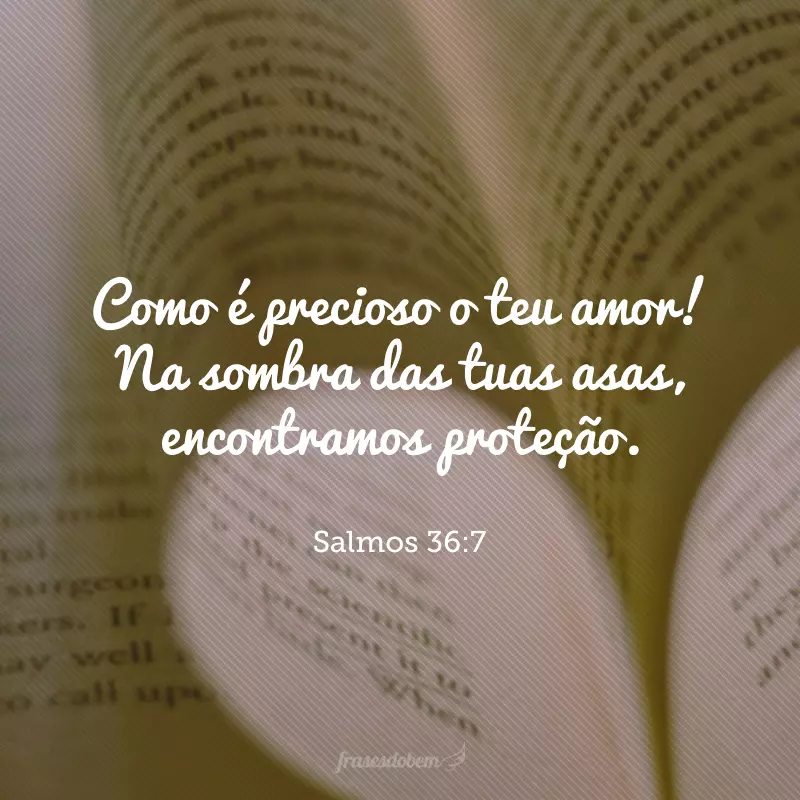 Como é precioso o teu amor! Na sombra das tuas asas, encontramos proteção. 