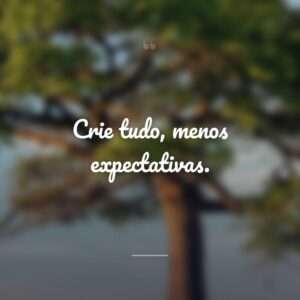 Crie tudo, menos expectativas.