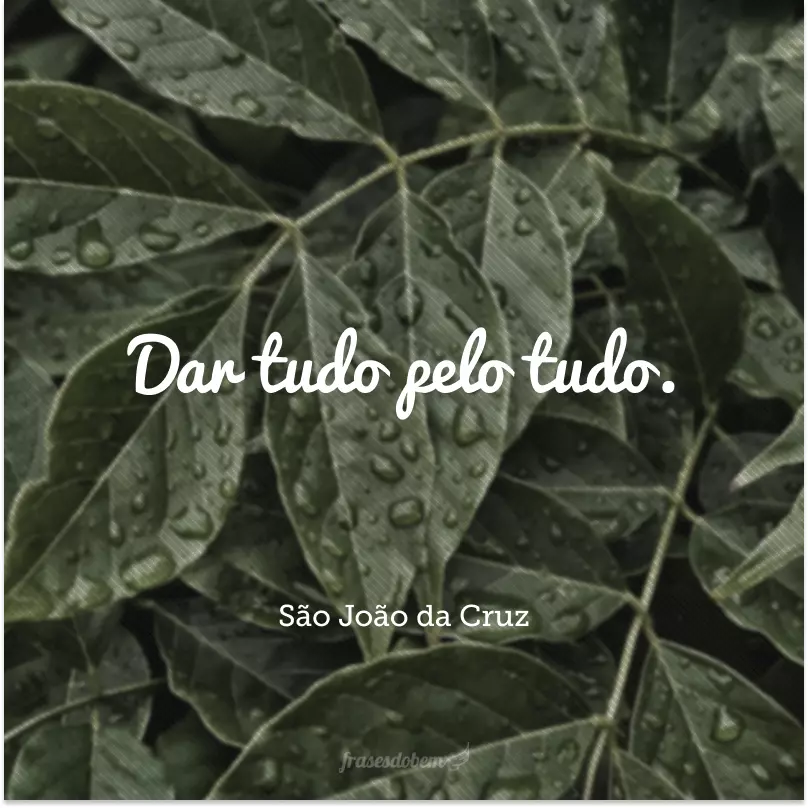 Dar tudo pelo tudo.