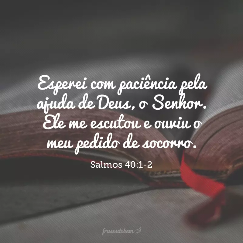 Esperei com paciência pela ajuda de Deus, o Senhor. Ele me escutou e ouviu o meu pedido de socorro. Tirou-me de uma cova perigosa, de um poço de lama. Ele me pôs seguro em cima de uma rocha e firmou os meus passos. 