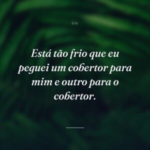 Está tão frio que eu peguei um cobertor para mim e outro para o cobertor.