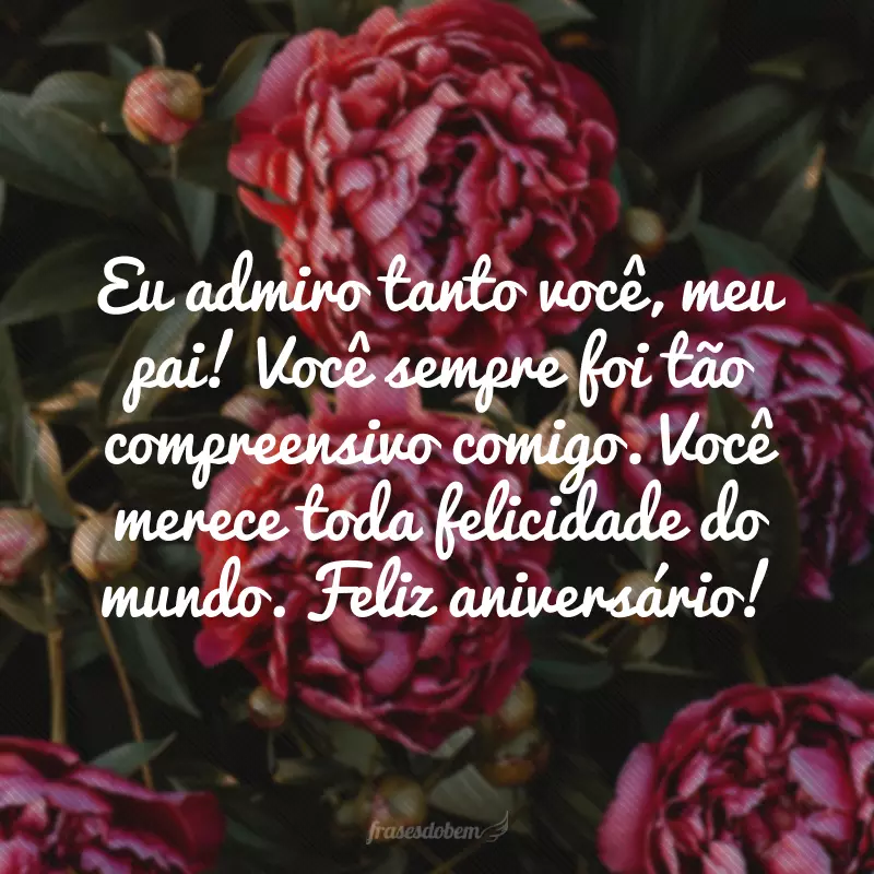 Eu admiro tanto você, meu pai! Você sempre foi tão compreensivo comigo. Você merece toda felicidade do mundo. Feliz aniversário!