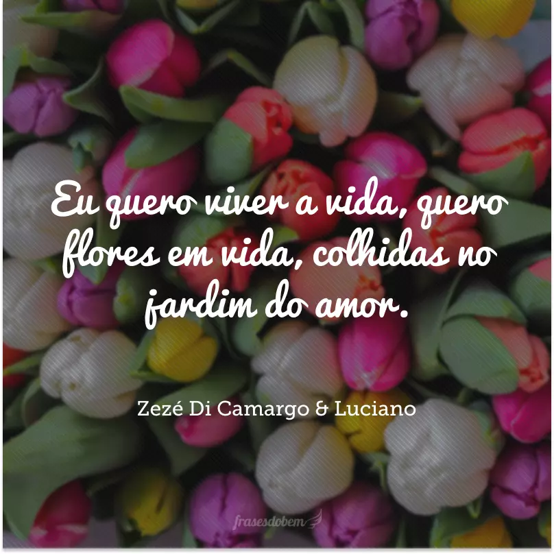 Eu quero viver a vida, quero flores em vida, colhidas no jardim do amor. 