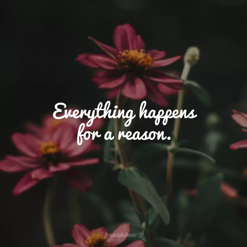 Everything happens for a reason. (Tudo acontece por uma razão.)