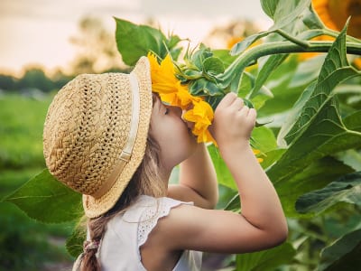 50 frases de bom dia feliz para alegrar sua rotina e transformar sua vida