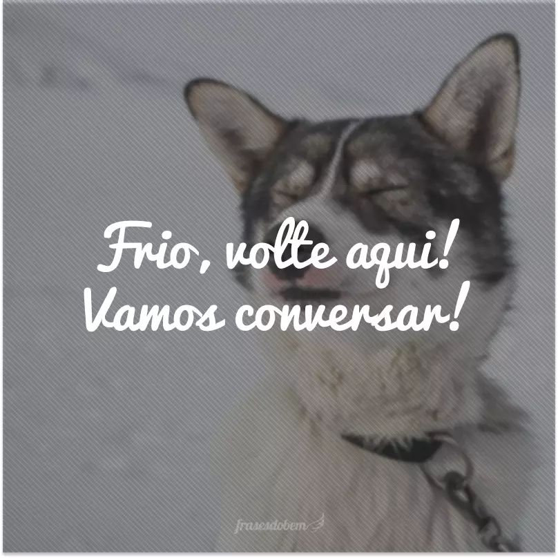 Frio, volte aqui! Vamos conversar!