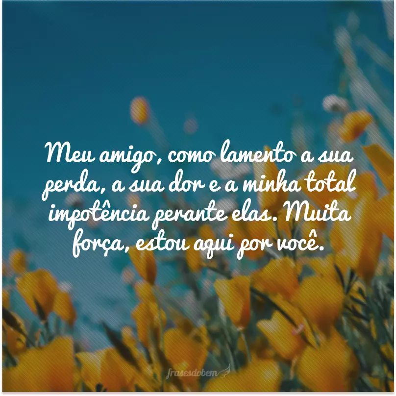 Meu amigo, como lamento a sua perda, a sua dor e a minha total impotência perante elas. Muita força, estou aqui por você.