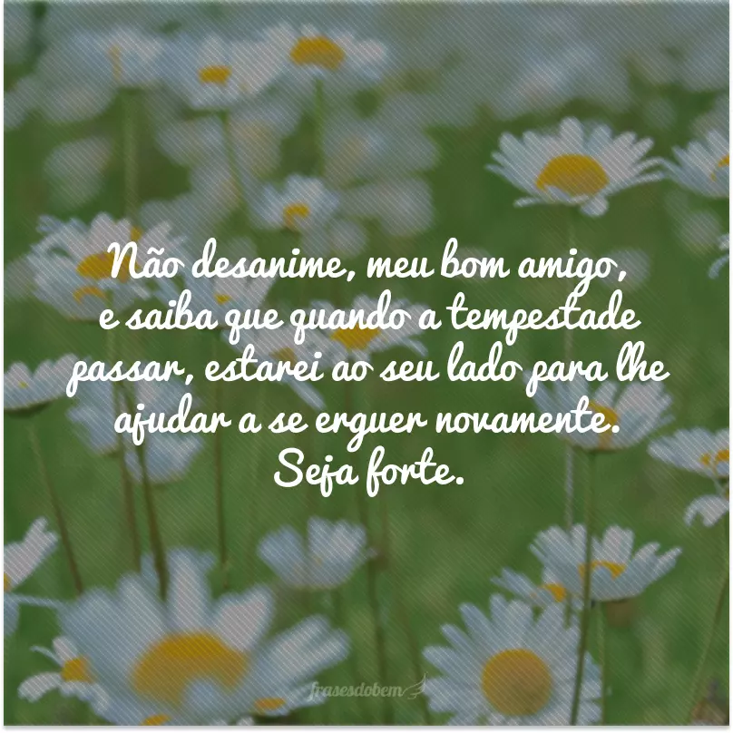 Não desanime, meu bom amigo, e saiba que quando a tempestade passar, estarei ao seu lado para lhe ajudar a se erguer novamente. Seja forte.