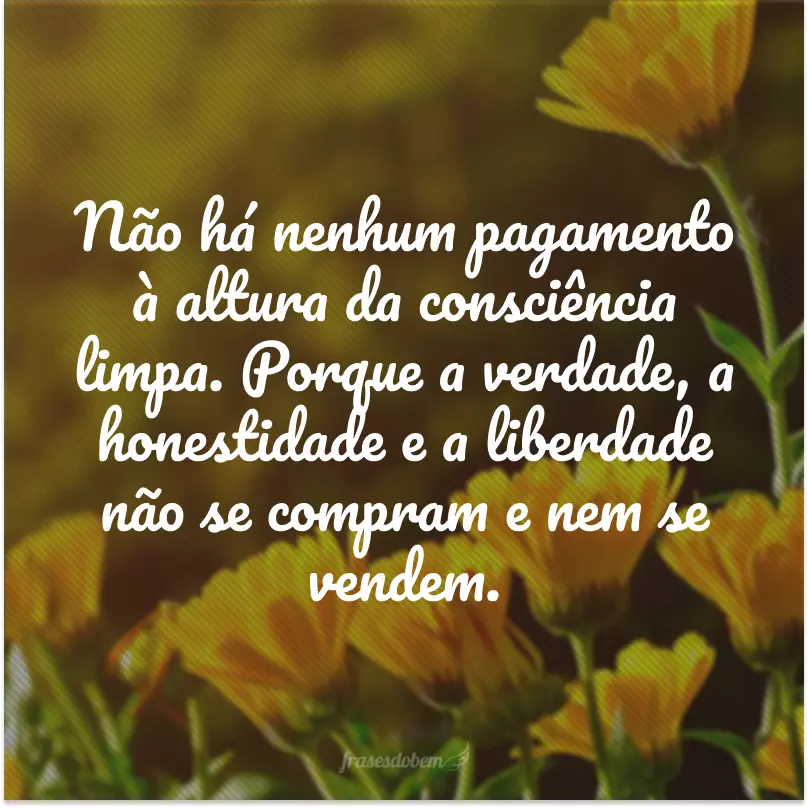 Não há nenhum pagamento à altura da consciência limpa. Porque a verdade, a honestidade e a liberdade não se compram e nem se vendem.