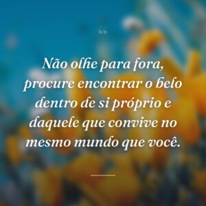 Não olhe para fora, procure encontrar o belo dentro de si próprio e daquele que convive no mesmo mundo que você.