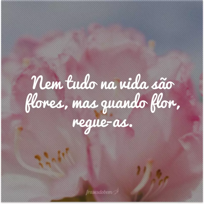 Nem tudo na vida são flores, mas quando flor, regue-as.