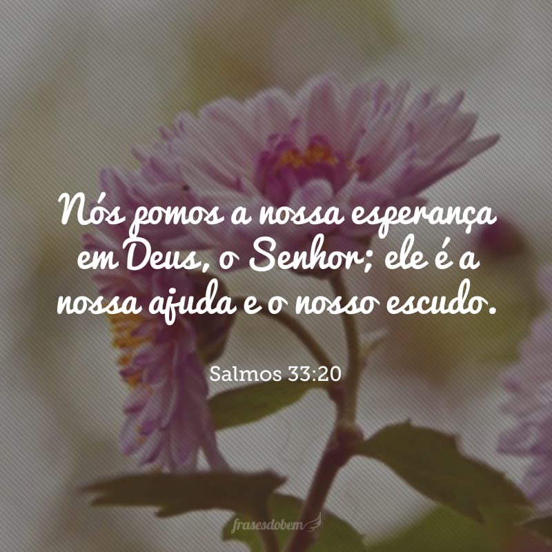 Nós pomos a nossa esperança em Deus, o Senhor; ele é a nossa ajuda e o nosso escudo. 