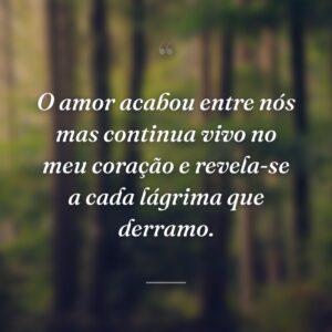 O amor acabou entre nós mas continua vivo no meu coração e revela-se a cada lágrima que derramo.