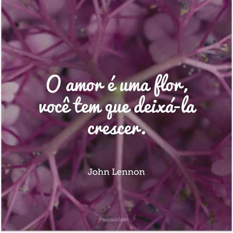 O amor é uma flor, você tem que deixá-la crescer. 