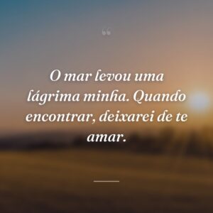 O mar levou uma lágrima minha. Quando encontrar, deixarei de te amar.
