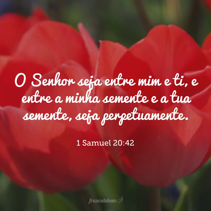 O Senhor seja entre mim e ti, e entre a minha semente e a tua semente, seja perpetuamente. 