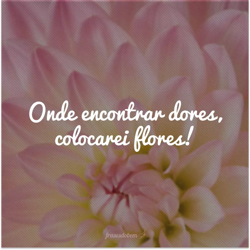 Onde encontrar dores, colocarei flores!