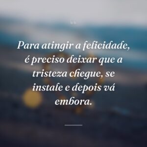 Para atingir a felicidade, é preciso deixar que a tristeza chegue, se instale e depois vá embora.