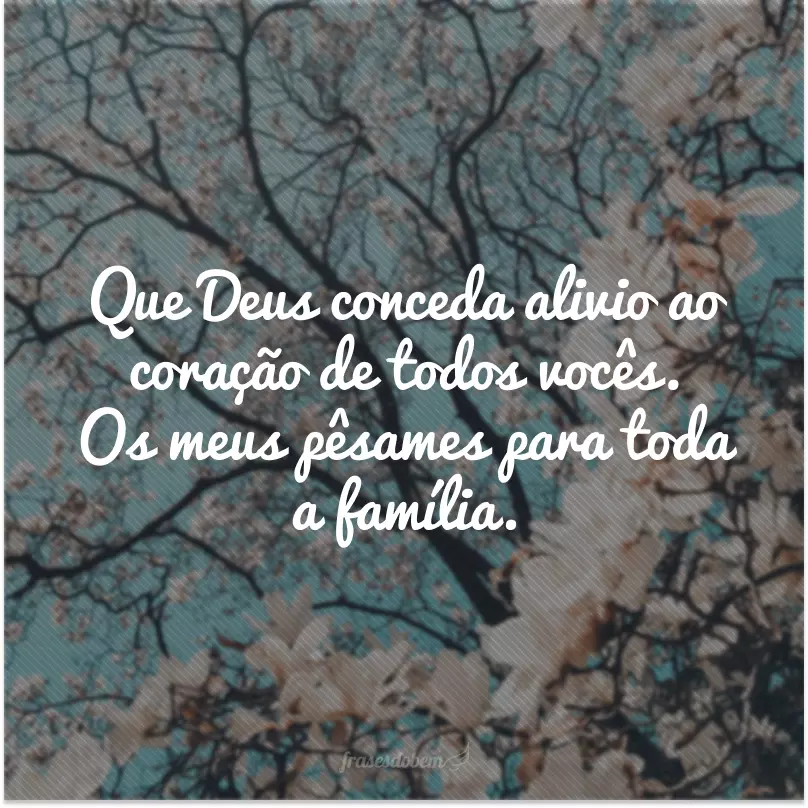 Que Deus conceda alivio ao coração de todos vocês. Os meus pêsames para toda a família.