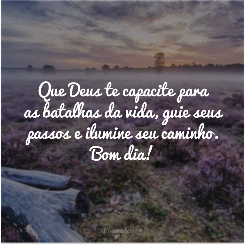 Que Deus te capacite para as batalhas da vida, guie seus passos e ilumine seu caminho. Bom dia!