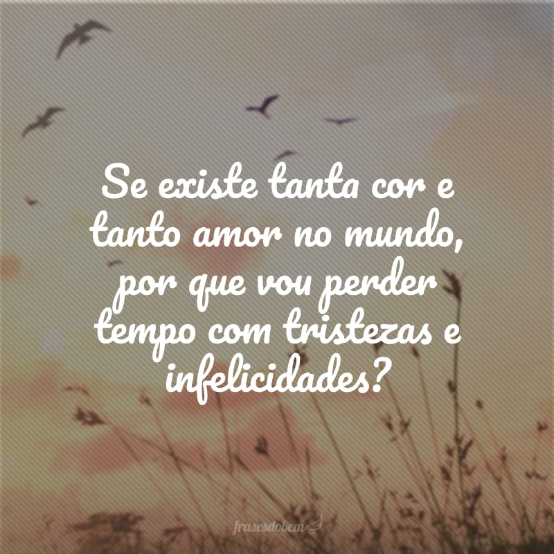 Se existe tanta cor e tanto amor no mundo, por que vou perder tempo com tristezas e infelicidades?