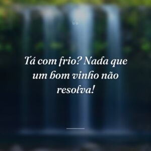 Tá com frio? Nada que um bom vinho não resolva!