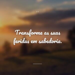 Transforme as suas feridas em sabedoria.