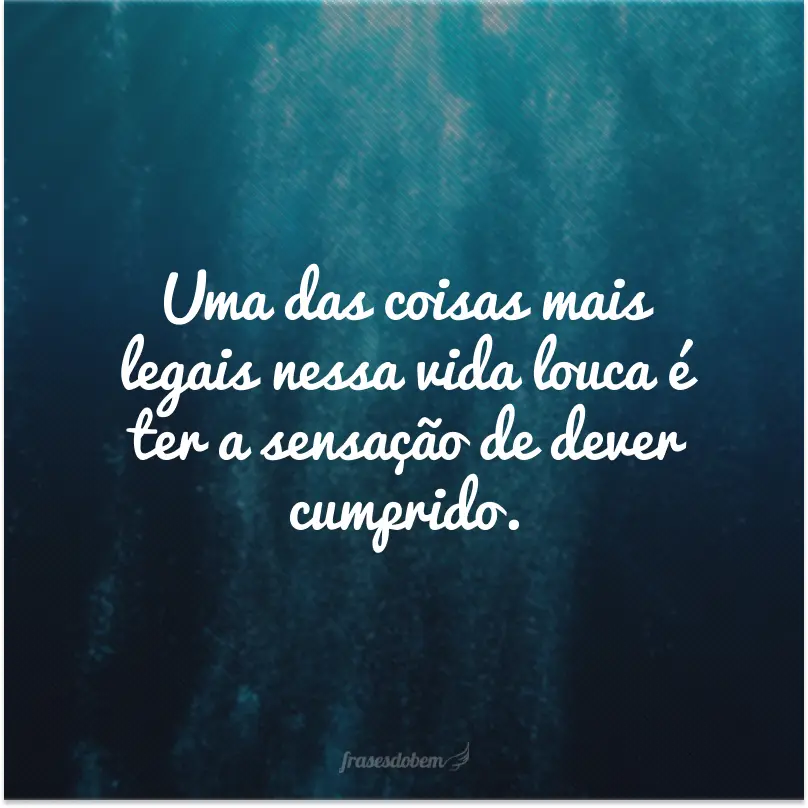 Uma das coisas mais legais nessa vida louca é ter a sensação de dever cumprido.