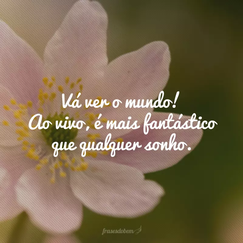 Vá ver o mundo! Ao vivo, é mais fantástico que qualquer sonho.