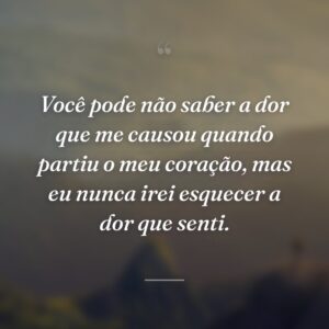 Você pode não saber a dor que me causou quando partiu o meu coração, mas eu nunca irei esquecer a dor que senti.