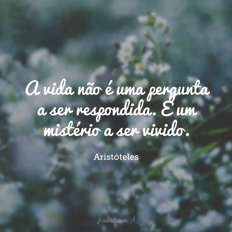 A vida não é uma pergunta a ser respondida. É um mistério a ser vivido.